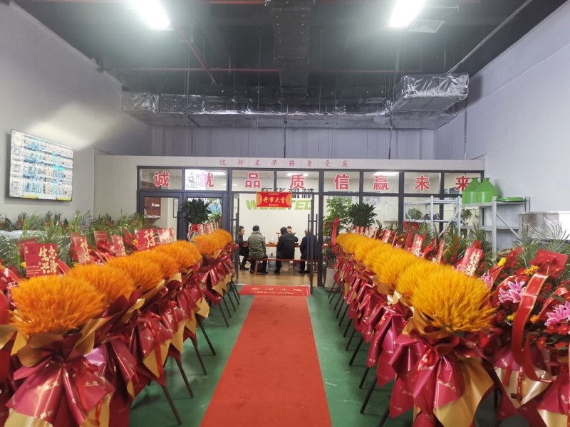 專業(yè)團隊助力，全方位服務(wù)客戶